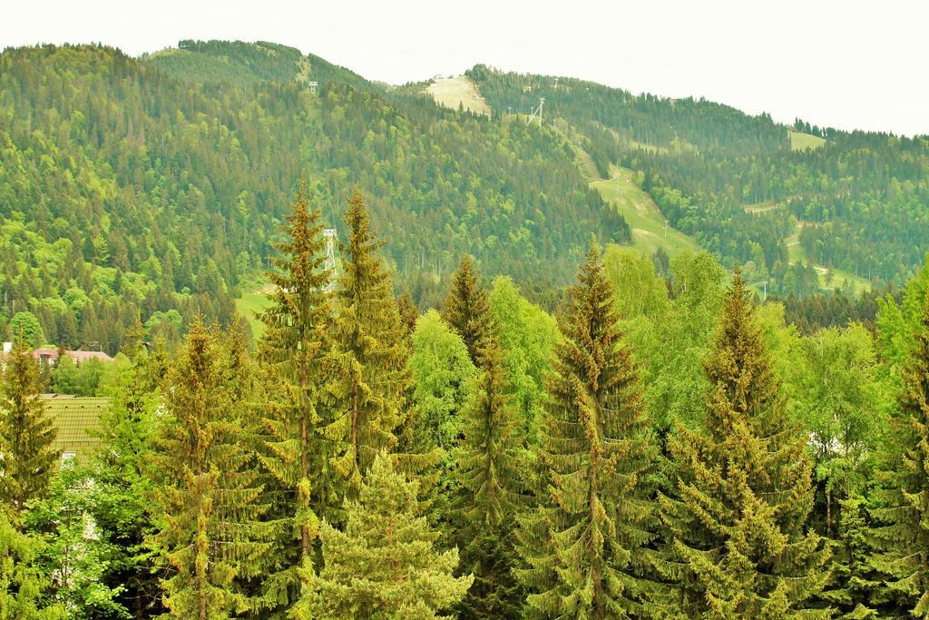 Hotel Crisalpin Poiana Brasov Eksteriør billede