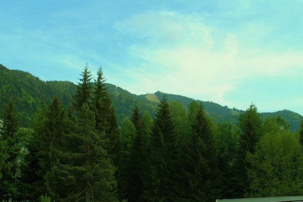 Hotel Crisalpin Poiana Brasov Eksteriør billede